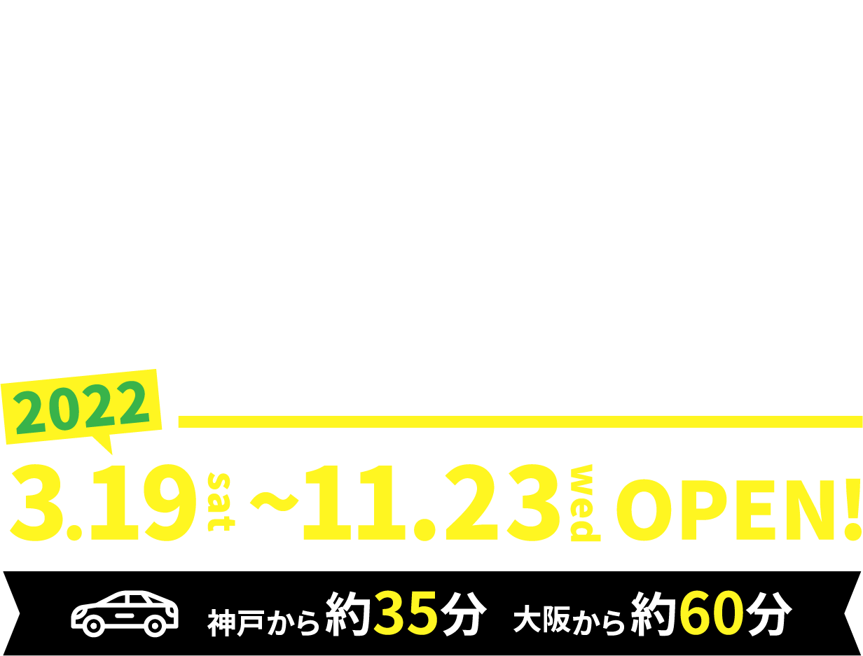 Forest Adventure Kobe Mt. Rokko Rokkosan Mecha Forest "mecya forest" area Zip slide "zip slide" 2022.3.19 sat ~ 11.23wed OPEN! About 35 minutes by car from Kobe About 60 minutes from Osaka