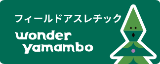 wonder_yamambo