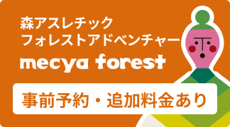 mecya_forest