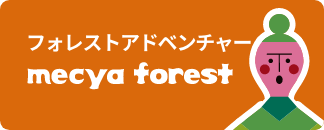 mecya_forest