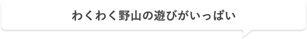 わくわく野山の遊びがいっぱい