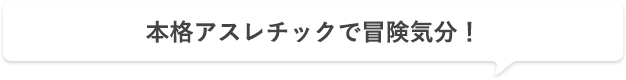 本格アスレチックで冒険気分！