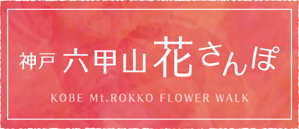 ทางเดินเล่นชมดอกไม้ร็อคโคซันแห่งโกเบ