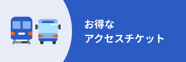 六甲山スノーパーク 入園券付きリフト券４枚