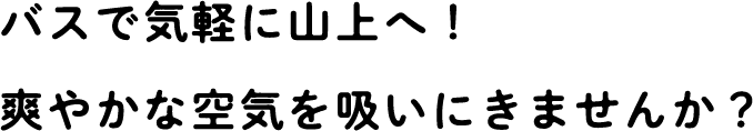 バスで気軽に山上へ！爽やかな空気を吸いにきませんか？