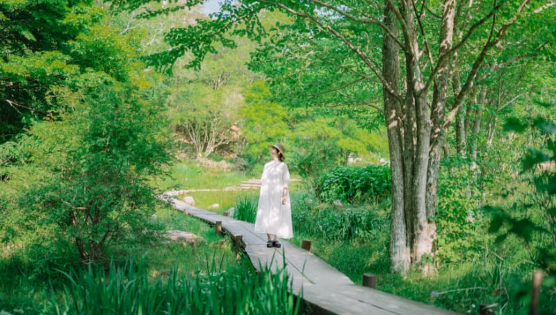 Bảo tàng âm thanh rừng ROKKO