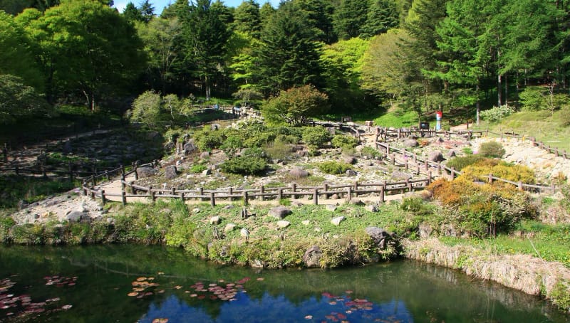 Vườn bách thảo Rokko Takayama