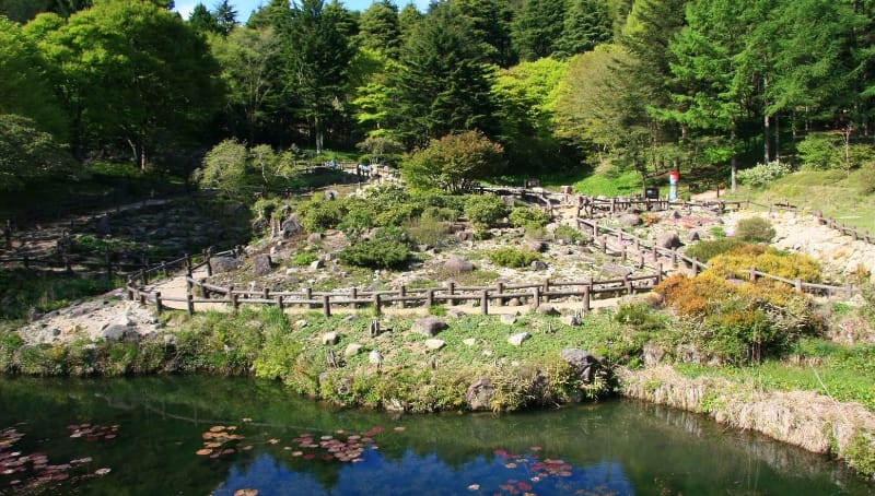 六甲高山植物园